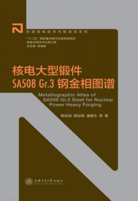 核电大型锻件SA508Gr.3钢金相图谱.png