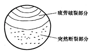 mmexport1698292988893.png