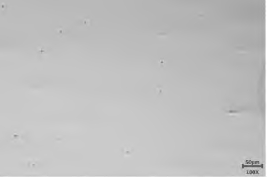 抛光金相照片.png