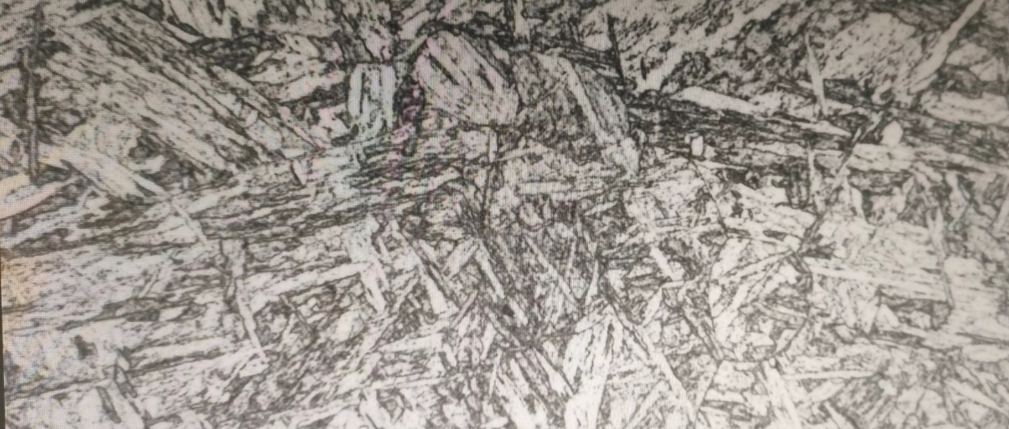500X.png