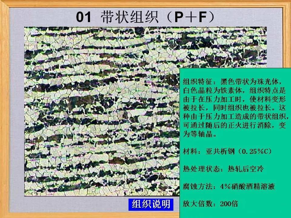 带状组织.jpg