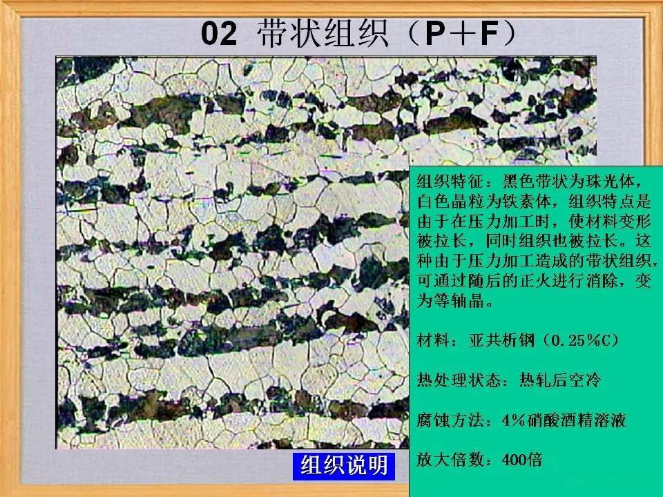 带状组织2.jpg