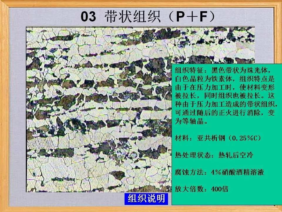 带状组织3.jpg