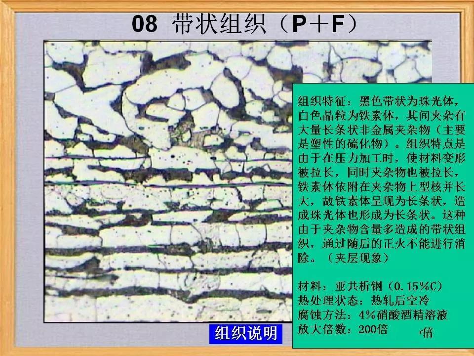 带状组织8.jpg