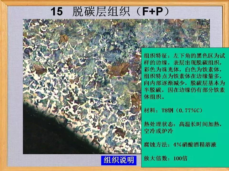 脱碳层组织15.jpg