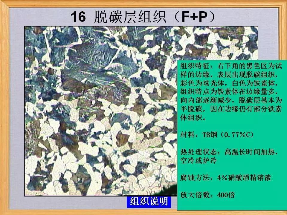 脱碳层组织16.jpg