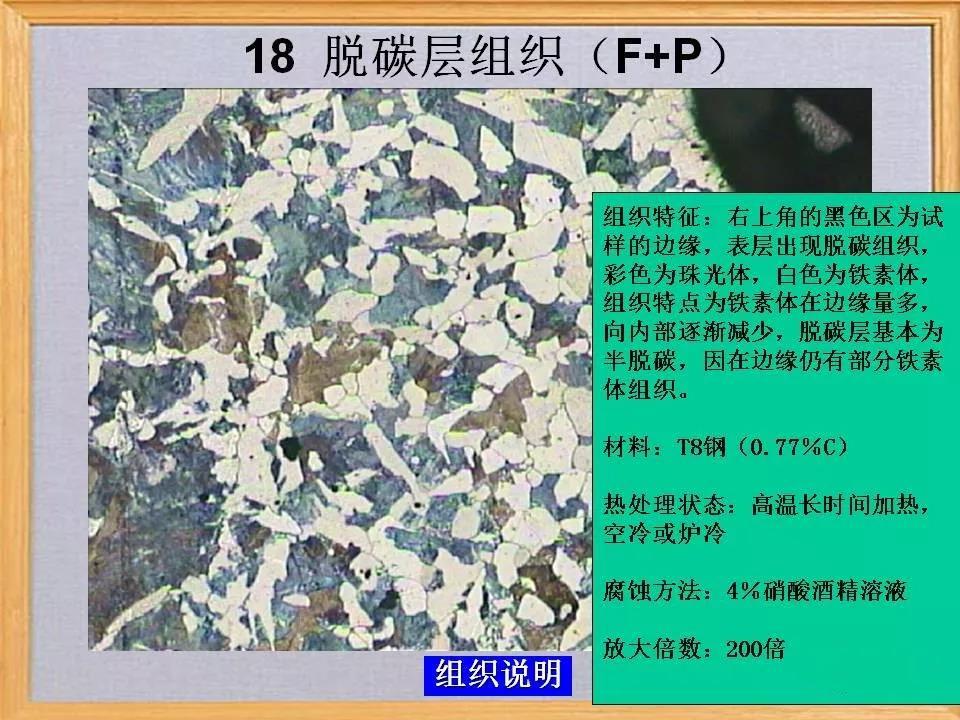 脱碳层组织18.jpg
