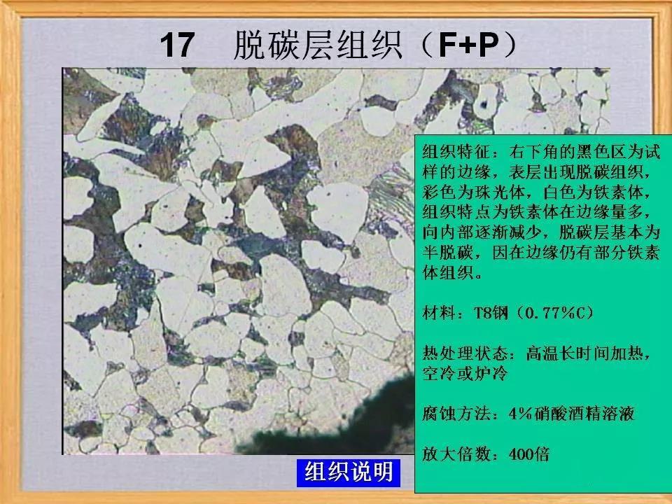脱碳层组织17.jpg