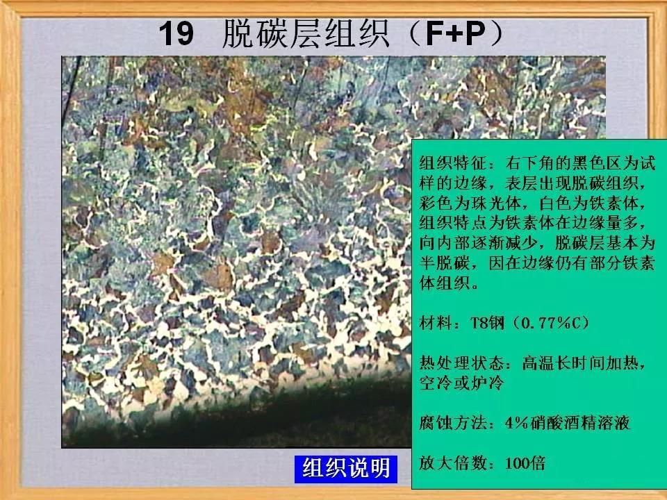 脱碳层组织19.jpg