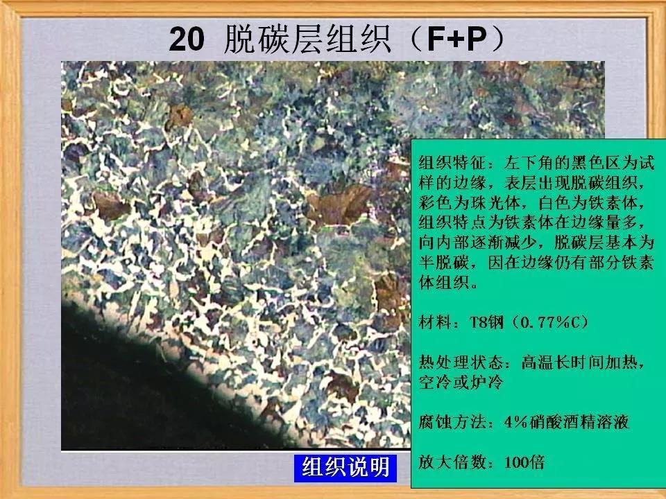 脱碳层组织20.jpg