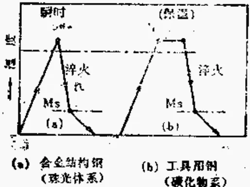 mmexport1706569781551.png