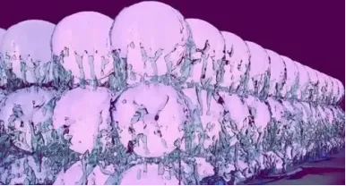 1000017645.png