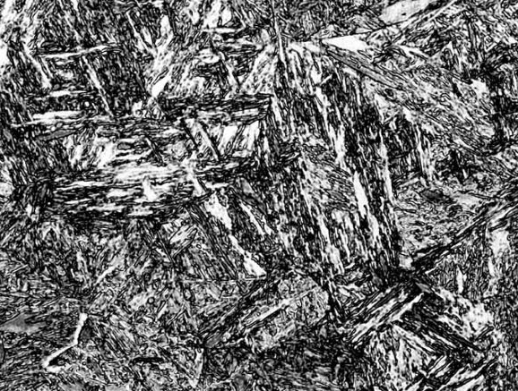 IMG_6830.jpeg