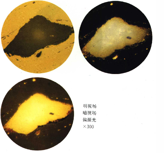 夹杂物2.png