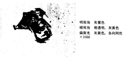 锰尖晶石夹杂物.png