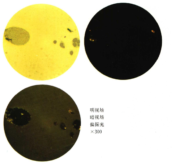 MnS夹杂物.png