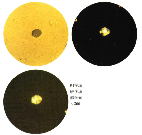 图6Al(N,O)夹杂物.png