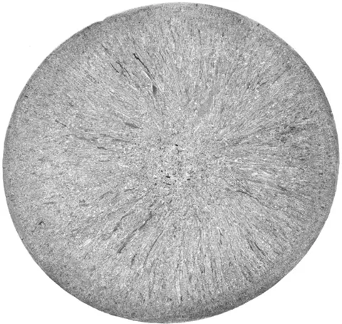 mmexport1731800721600.png