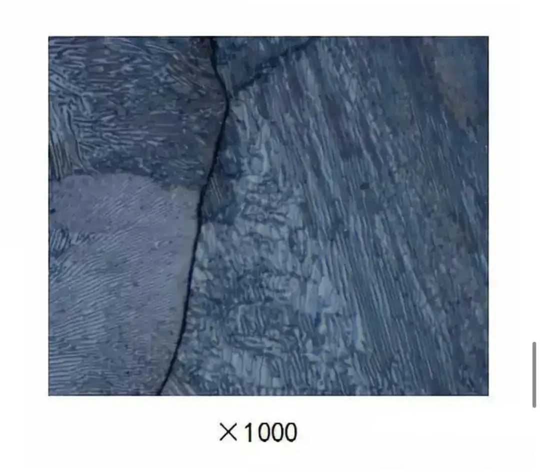 mmexport1742173128976_edit_170737844300701.jpg