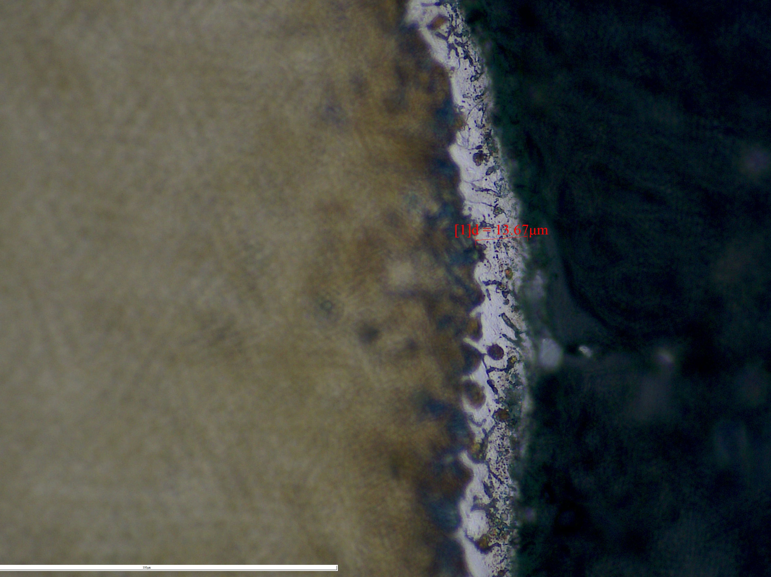 mmexport1748390643898.jpg