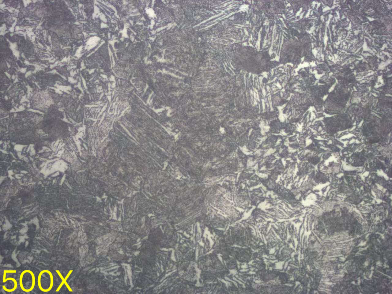 mmexport1758092767991.jpg